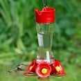 PerkyPet 204CP4 Favored PinchWaist Glass Hummingbird Feeder with