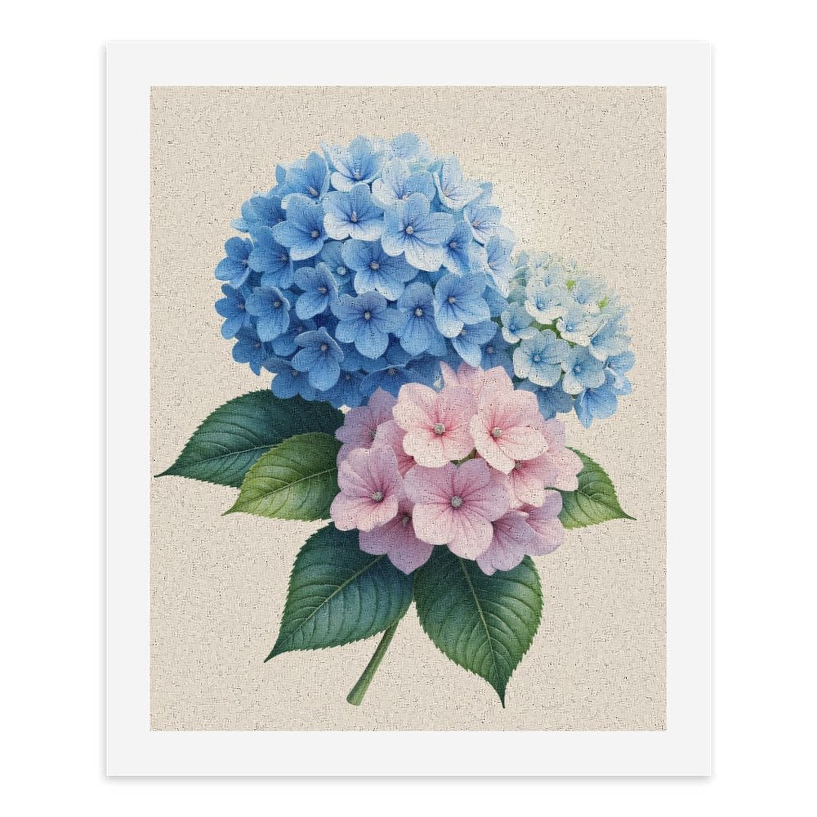 Paint by Numbers Kit for Adults, Blue Pink Hydrangea Blooms Leaves Paint by Numbers, Easy Paint by Numbers Kit for Adults Beginner, DIY Adult Paint by Number Kits on Canvas, 12x16in Home Decor