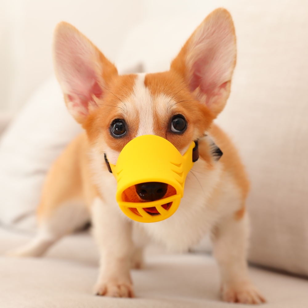 duck muzzle for dog for sale