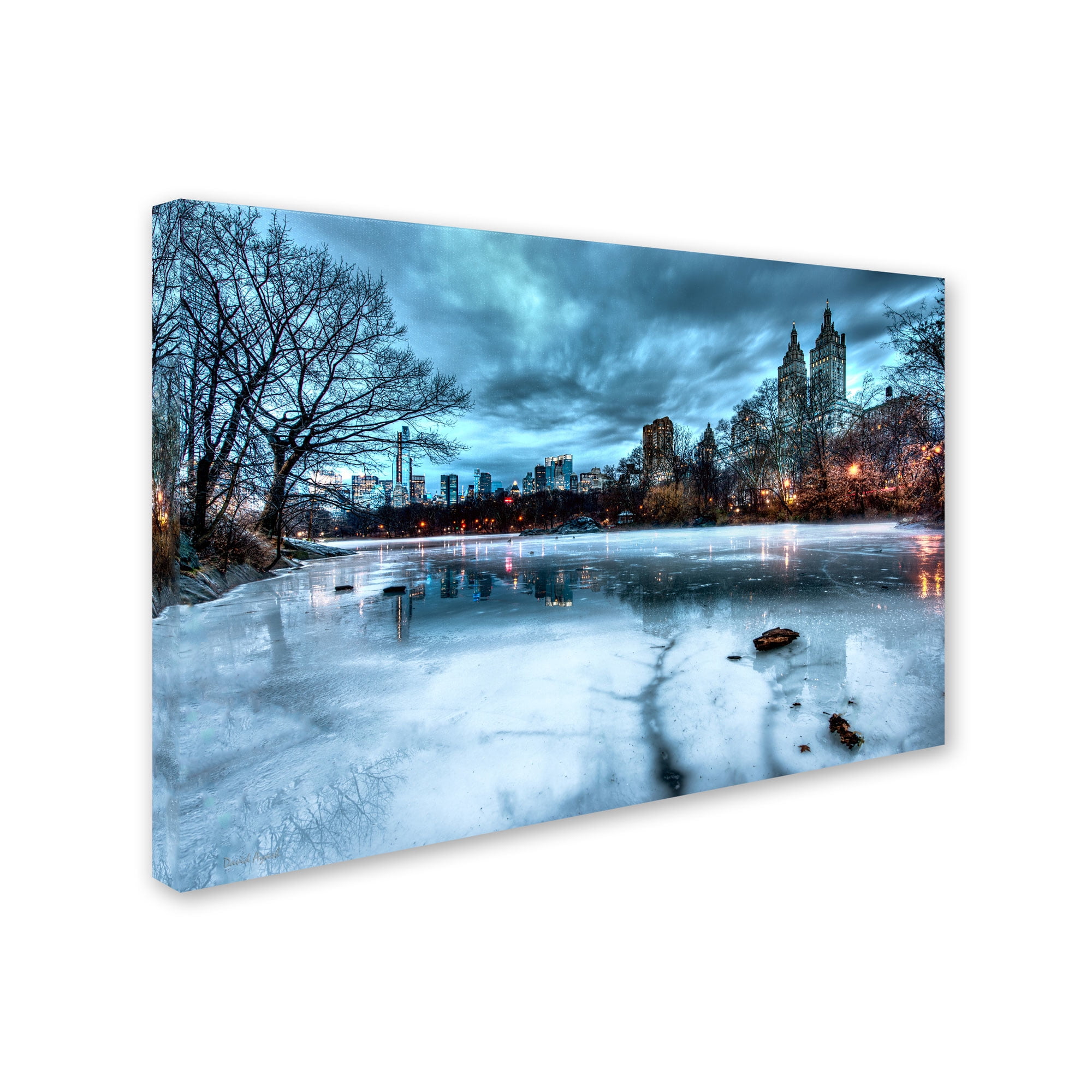 Trademark Fine Art "Frozen Central Park Lake II" Canvas Art by David Ayash