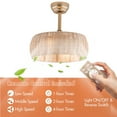 thumbnail image 5 of 17.7inch Rattan Ceiling Fan with Light, 18in Bamboo Fandelier 6-Speed Rattan Caged Ceiling Fan with Lights Remote Control, Wicker Ceiling Fan Boho Woven Caged Ceiling Fan Light, 5 of 11