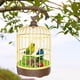 thumbnail image 3 of Columpio para pájaros, jaula para pájaros, simulación de canto, control de periquitos, sonidos, jaula para loros Verde y azul, 3 of 9