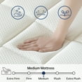 SUAYEA Full Mattress, 12 Inch Full Size Mattress in a Box, Hybrid