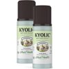 Kyolic Aged Garlic Extract Liquid – Odorless Organic Garlic Supplement – Immune Support – 4 fl oz, 2 pack