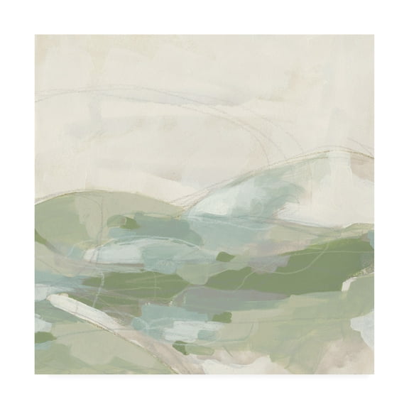 Trademark Fine Art 'Moss Vale I' Canvas Art by June Erica Vess