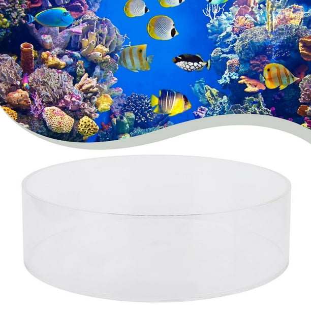 Coral Cylinder Magnifier,Fish Tank Acrylic Coral Fish Tank