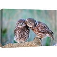 thumbnail image 3 of PixonSign Canvas Print Wall Art Two Owls on Tree Animals Wilderness Photography Realism Contemporary Closeup Relax/Calm Multicolor Ultra for Living Room, Bedroom, Office - 32x48, 3 of 5