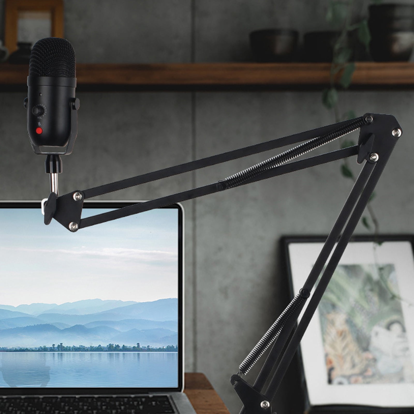 Zeiwohndc Capacitor Microphone USB Condenser Mic with Sound Boom Arm Set for Streaming