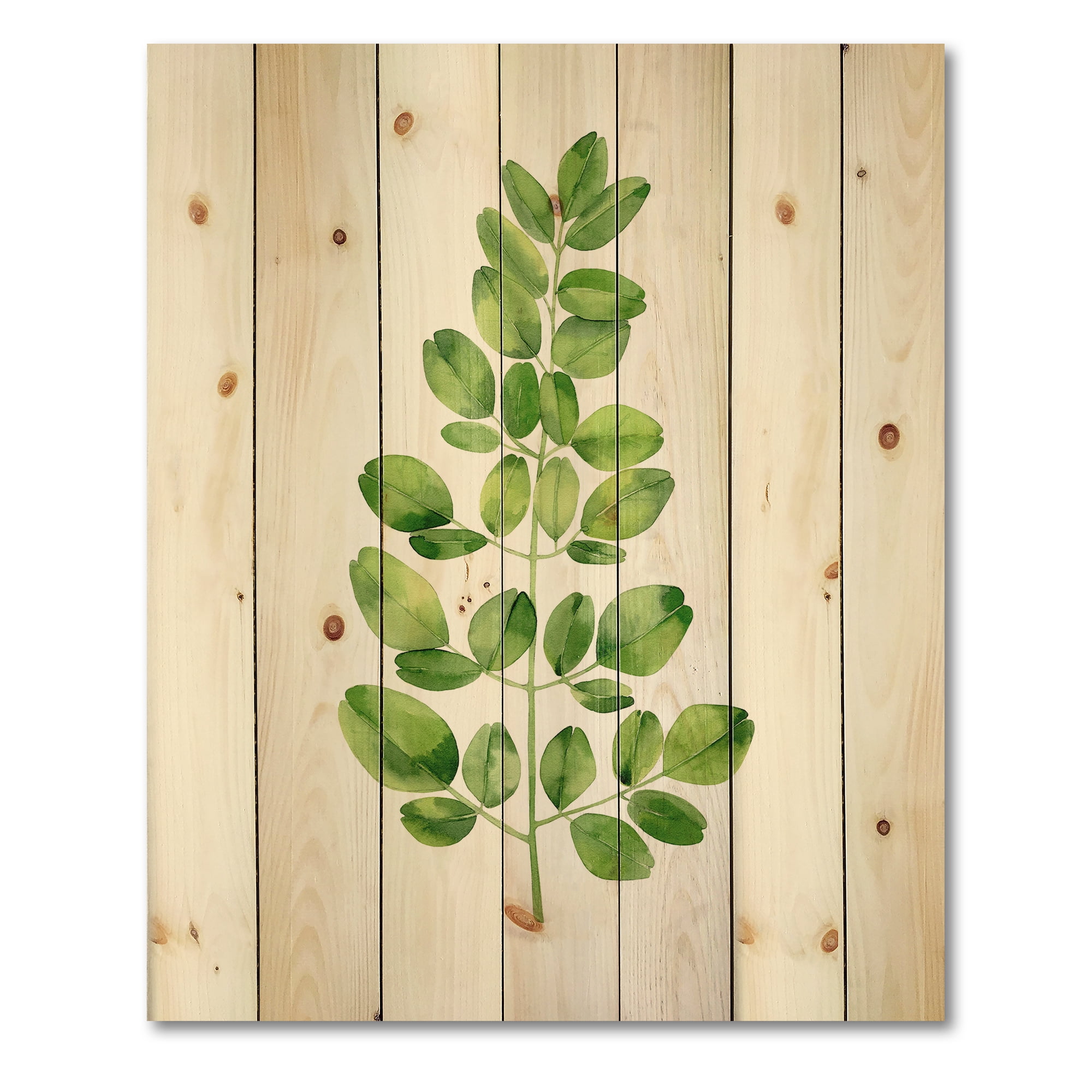 Designart 'Moringa Plant Branch Tropical Tree Foliage' Farmhouse Print on Natural Pine Wood