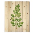 thumbnail image 3 of Designart 'Moringa Plant Branch Tropical Tree Foliage' Farmhouse Print on Natural Pine Wood, 3 of 5