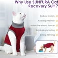 thumbnail image 6 of Minzimin Camo Printed Cat Recovery Suit, Cat Surgical Recovery Suit After Surgery for Abdominal Wound Anti Licking, Kitten Onesie for Cats Female Spay Recovery Shirt E-Collar Alternative, 6 of 7