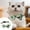 White#2, variant on Pet Products Irish Festival Bow With Bells Cats Collar