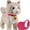 A+, variant on Youpwaven Froplay Dog, Wuffy Froplay Robot Dog with Remote Control Leash & Touch Sensing Interactive Soft Plush Fur & Voice Mimic Realistic Plushie, Suitable for Christmas, Birthday