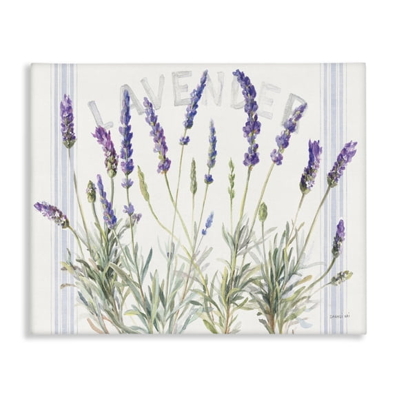 Stupell Industries Shabby Chic Lavender Floral Cluster Canvas Art, 20 x 16, by Danhui Nai