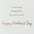 thumbnail image 4 of American Greetings Mother's Day Card for Mom (Values and Example), 4 of 4