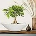 thumbnail image 4 of 18 Inch White-Black Wide Ceramic Planter - stillaflora Japanese Rectangle Indoor Pot with Saucer for Bonsai, Orchid,Ficus, Money Tree , Decorative Flower Pot for Home Decor, 4 of 8