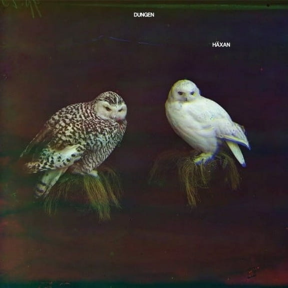 Dungen - Haxan - Rock - CD