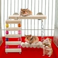 thumbnail image 3 of Toy, Springboard Swing Pet Bird Toy, 3Pcs Safe Durable For  Pet, 3 of 8
