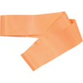 thumbnail image 1 of Olympia Sports BE139P Fitness Loop - Light-Medium Resistance, 1 of 4