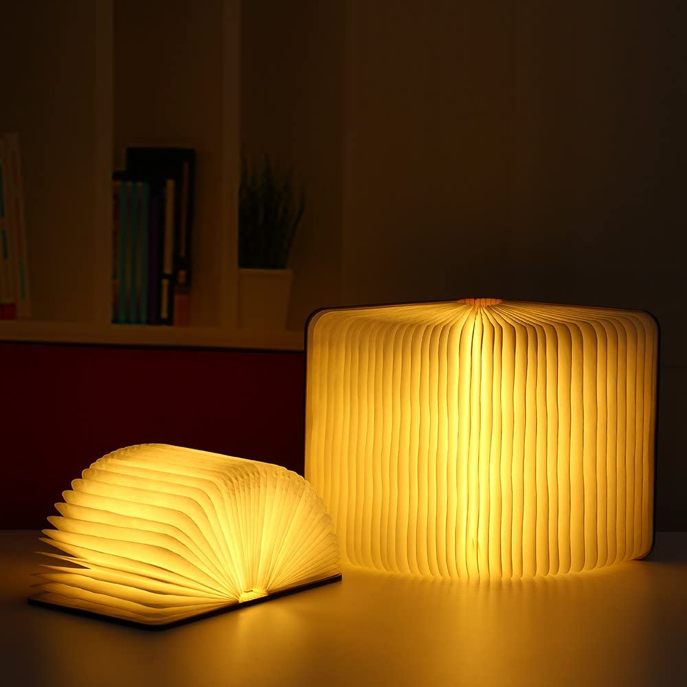 bosqueen book lamp