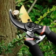 "delpattern 8"" Professional Garden & Hedge Shears, Pruning Shears with