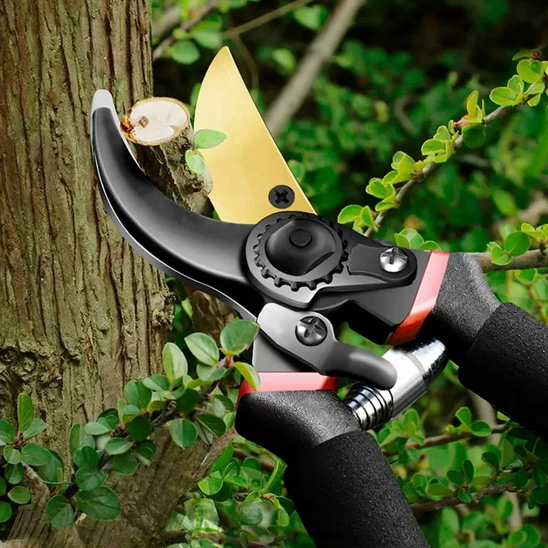 How to Sharpen Hedge Clippers and Pruning Shears - The Creek Line