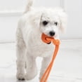 thumbnail image 4 of Ltdhehe Interactive Puppy Chewing Rope For Dogs Portable Molar Chew Toy With Strong Resistance, 4 of 4