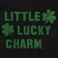 thumbnail image 2 of St Patricks Day Little Lucky Charm Unisex Fleece Graphic Zip Up Hoodie Brisco Brands 3X, 2 of 3