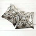 thumbnail image 6 of Ambesonne Classic Throw Pillow Cover 2 Pack, Majestic Room in Muted Tone, 24", Coconut and Off White, 6 of 7
