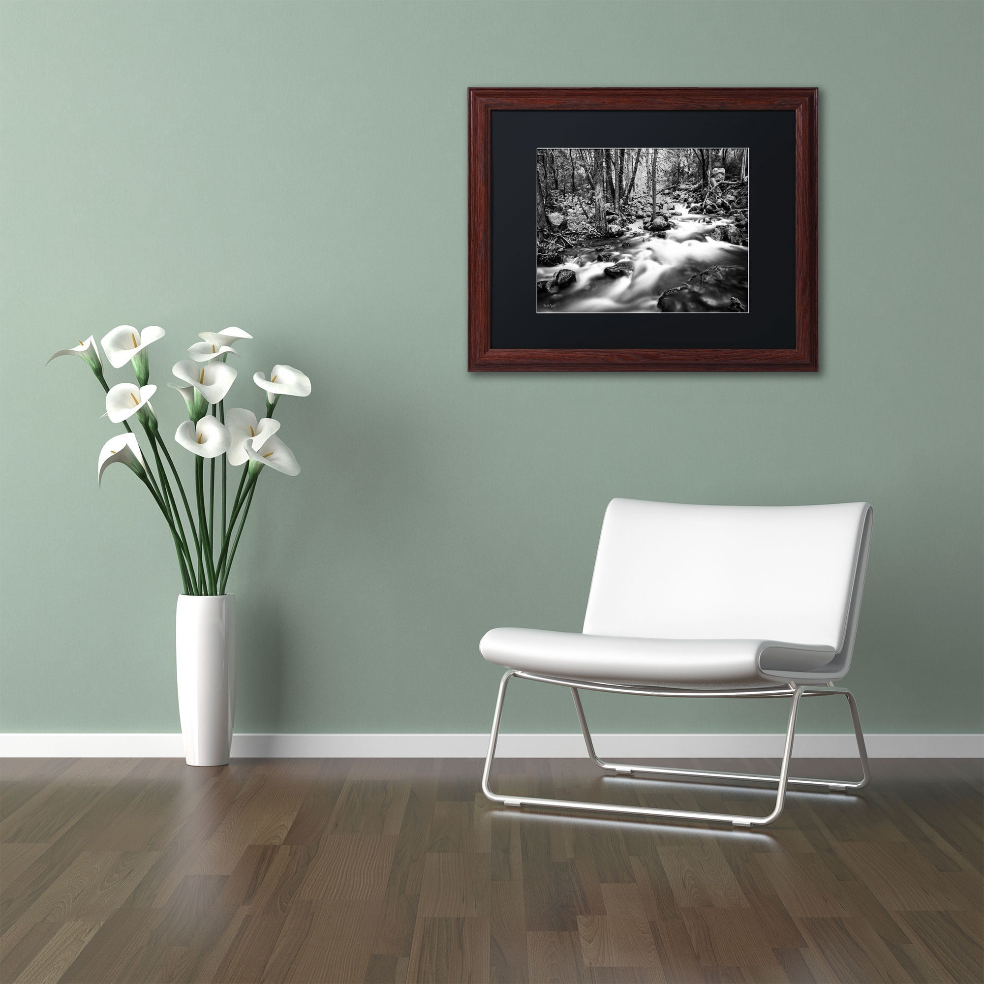 Trademark Fine Art "Yosemite National Park - California-I" Canvas Art by David Ayash, Black Matte, Wood Frame