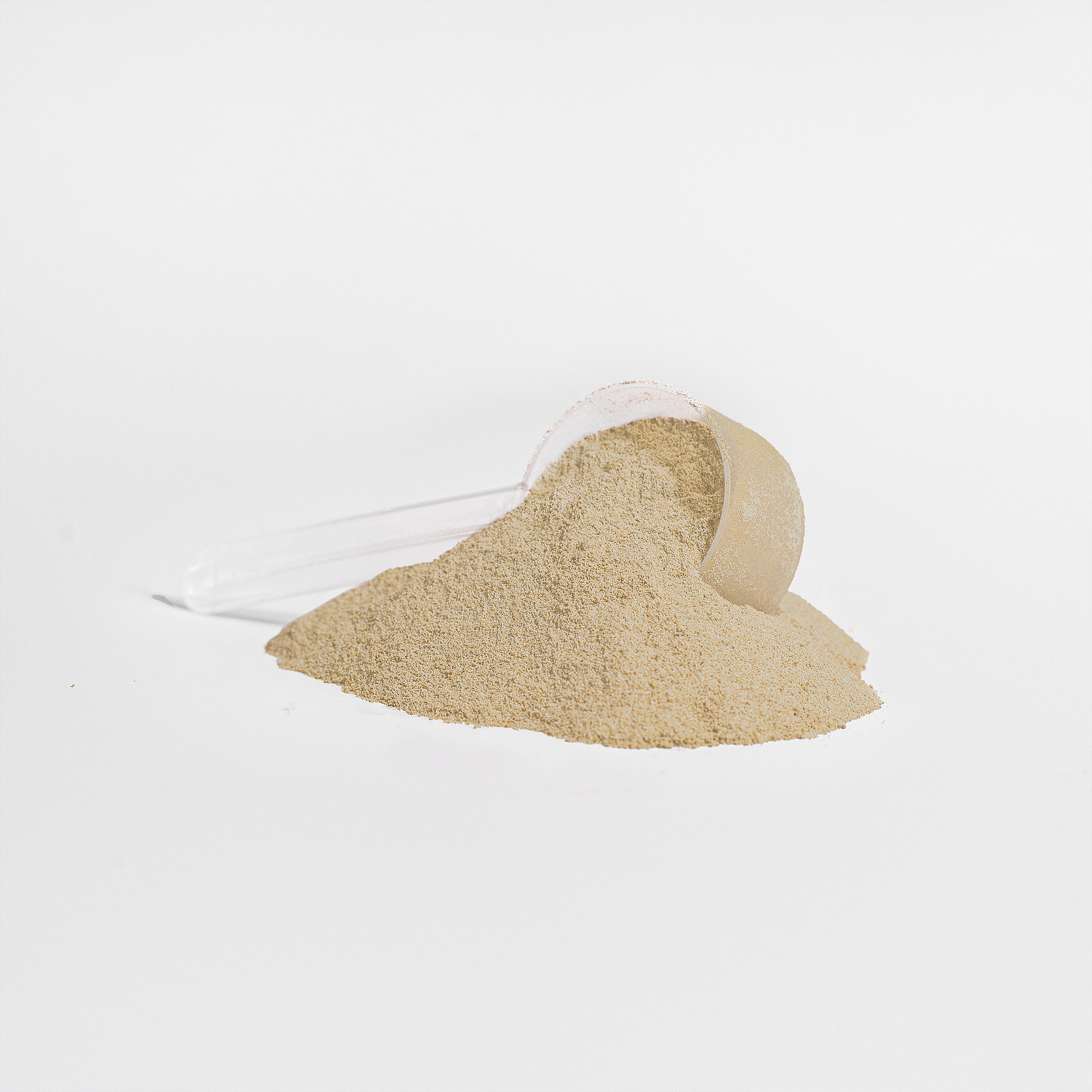 Invincible Supplements Advanced Whey Protein Isolate, Vanilla- 22g Protein with Apple Pectin & MCT Oil- 2LBS