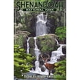 thumbnail image 2 of Art.com Shenandoah National Park, Virginia - Doyles River Falls Art Print by Lantern Press, 24" x 36", 2 of 4