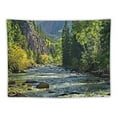 thumbnail image 5 of Fenyluxe  Nature Mountain Forest Tapestry, Scenic Green Pine Tree Waterfall Landscape Wall Hanging Tapestries for Home Office Dorm Indoor and Outdoor Decoration 40x30inch, 5 of 6