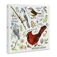 thumbnail image 4 of Stupell Industries Bird Watching Chart Animals Painting Wrapped Canvas Art Print Wall Art, 17 x 17, 4 of 8