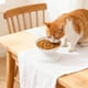 thumbnail image 1 of Herunwer Detachable Elevated Cat Bowls, 15° Tilted Raised Cat Food Bowl Anti-Vomiting,Whisker Friendly, Adjustable Pet Dishes for Protecting Spine, 1 of 8