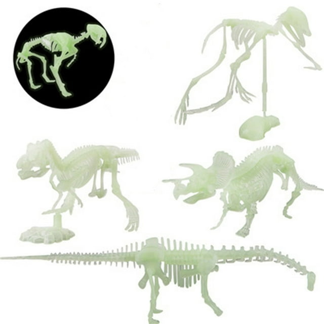 DPTALR In The Dinosaur Fossils Cool Assorted Designs Dinosaur In The Dark Three-dimensional Assembly Dinosaur Skeleton Model Human Skeleton Brachiosaurus