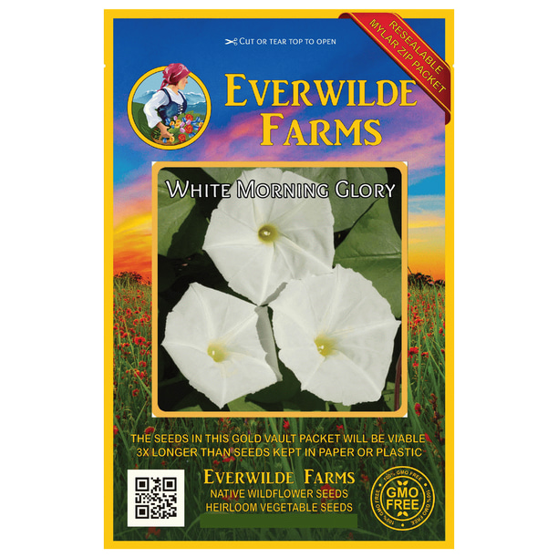 Everwilde Farms 1 Oz White Morning Glory Garden Flower Seeds Gold Vault Bulk Seed Packet Walmart Com Walmart Com