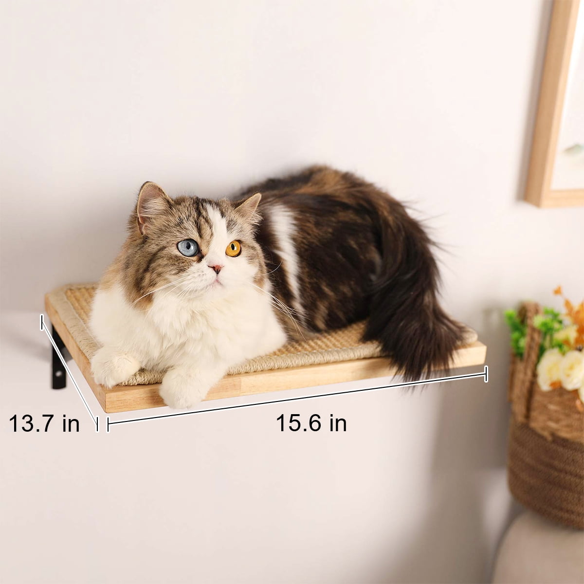 FUKUMARU Cat Furniture Set, 3 in 1 Wall Shelves & Hammock for Multi-Cat Home