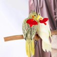 thumbnail image 4 of Arnés ajustable para pájaros con correa de 80 pulgadas, kit de vuelo al aire libre, cuerda de entrenamiento para pájaros, loros, cacatúas, 4 of 4