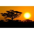 thumbnail image 2 of African Sunset Savannah Kenya Wall Mural Decal Sticker, Wallmonkeys Peel & Stick Vinyl Graphic (18 in W x 12 in H), 2 of 4