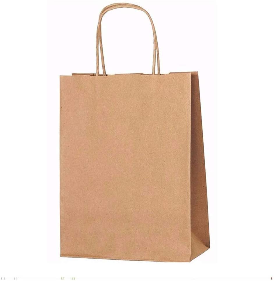 biodegradable paper bolsa