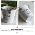 thumbnail image 5 of Iron Flower Pot Flower Planter Succulent Planter Creative Planter Flowerpot Bucket Iron Flowerpot Flower Vase Iron Planter, 5 of 5