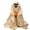 D, variant on Halloween Glitter Ghost with Pumpkin Decoration, 13inch Glowing Ghost Holding Pumpkin, Indoor Outdoor Yard Party Ornament