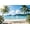 white, variant on Summer Tropical Hawaiian Beach Backdrop Colorful Flower Blue Sky Palm Tree Surfboard Surf Shop Sunset Juice Shop Car Background Luau Aloha Birthday Party Decorations Banner Photo Booth Props
