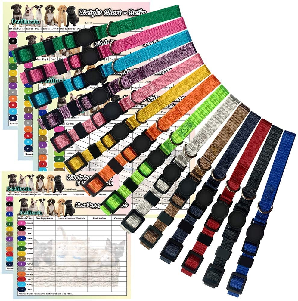 kitten whelping collars