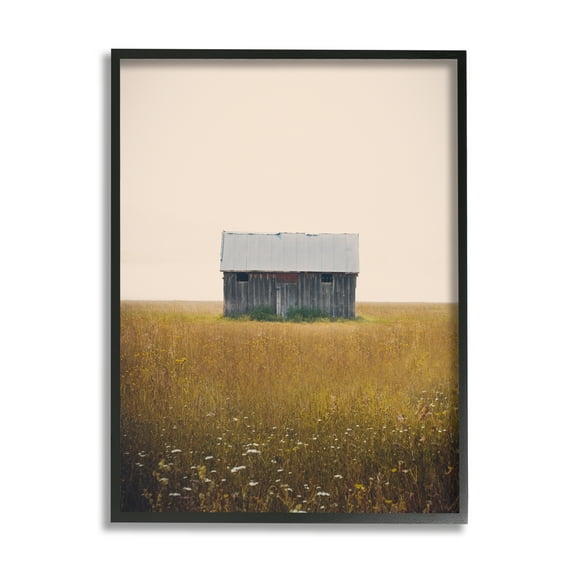 Stupell Industries Rural Countryside Shack Nature Photography Black Framed Art Print Wall Art, 11 x 14