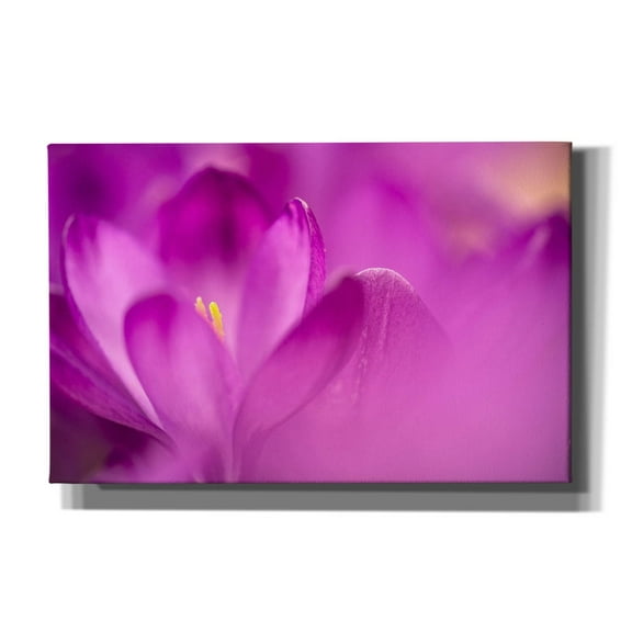 Epic Graffiti 'Purple Flower Study' by Istvan Nagy, Canvas Wall Art, 40"x26"