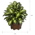 thumbnail image 4 of Nearly Natural 24in. Golden Dieffenbachia Artificial Plant, 4 of 8