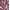 Rich Burgundy, variant on Time and Tru Women's Crewneck Mini Dress with Pockets, Sizes XS-3XL