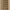 Taupe, variant on Imperial 2-1/4 In. x 12 In. Taupe Plastic Louvered Floor Register RG1453
